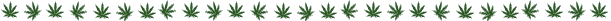 Cheap Cannabis