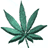 cannabis Seeds of Skunk #1 marijuana